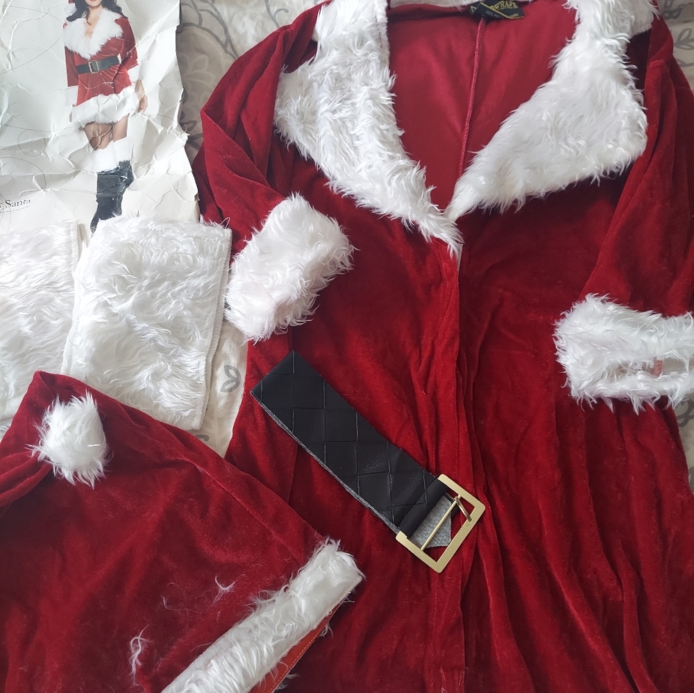 Sexy Santa Costume